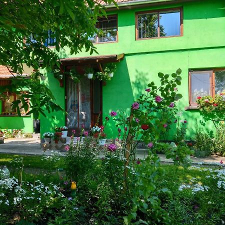 Csergo Ildiko Vendeghaz Hotel Lazarea Luaran gambar
